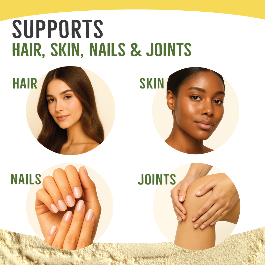 Collagen Creamer for Coffee - Grass Fed Collagen Peptides Powder with MCT Oil for Hair, Skin, Nails & Joint Support - Hazelnut